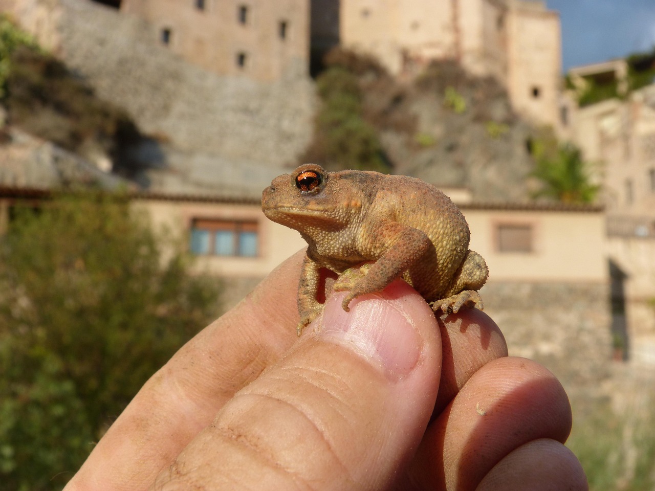 腸活サプリで肌荒れ改善に期待できる効果とは？