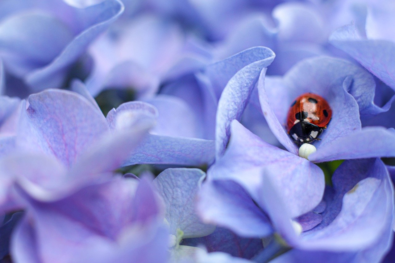 腸活サプリに含まれる胃に優しい成分の組み合わせとは？