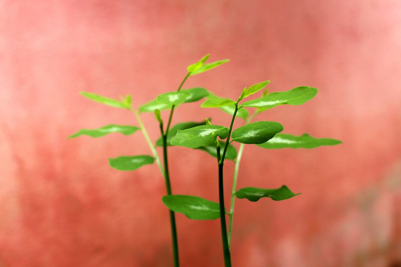 腸活サプリを併用する際にNGな薬とは？