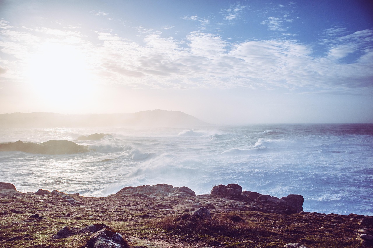 腸活サプリを外食が多い人向けに取り入れる方法は？