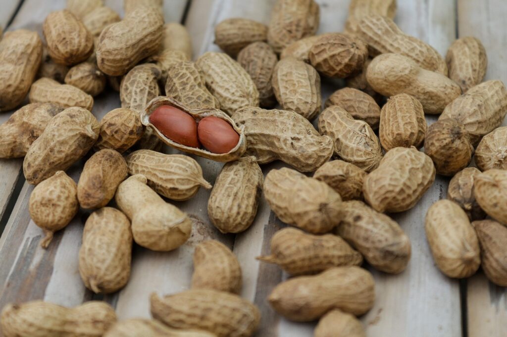 腸活サプリで食物繊維を取り入れたお腹張る対策は？