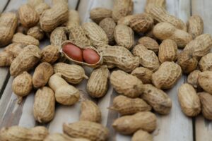 腸活サプリで食物繊維を取り入れたお腹張る対策は？