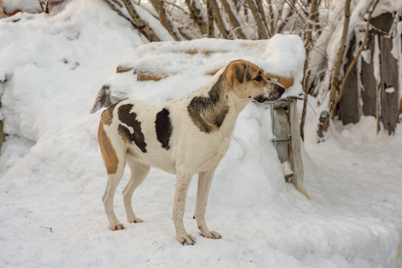 腸活サプリに含まれる乳酸菌の何億個が目安なの？