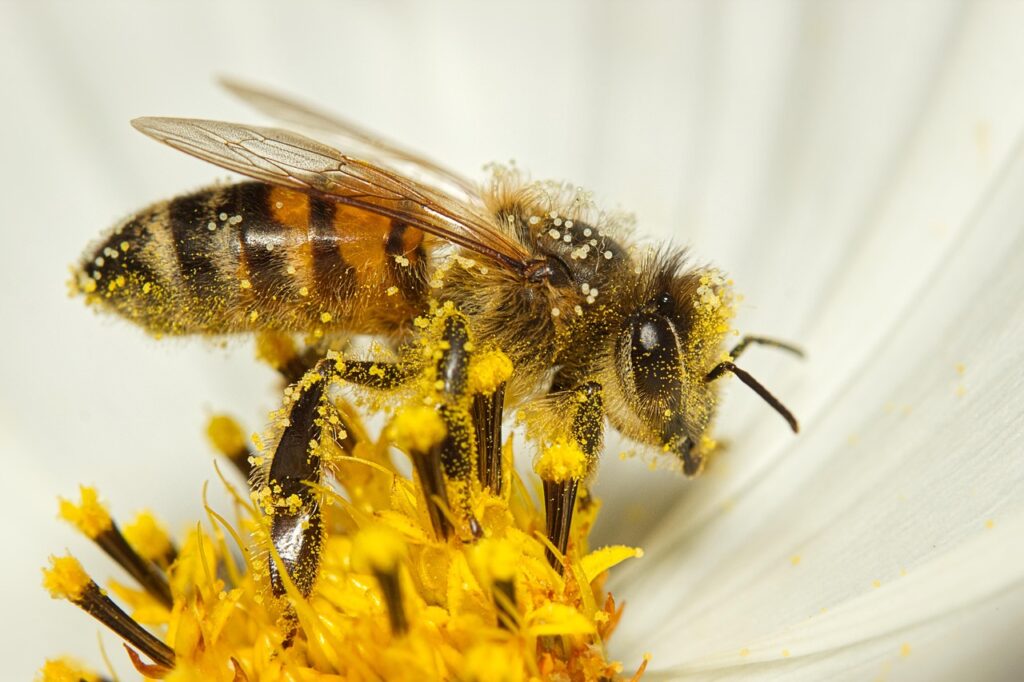 腸活サプリを試したら花粉症の体感に変化はあるか？