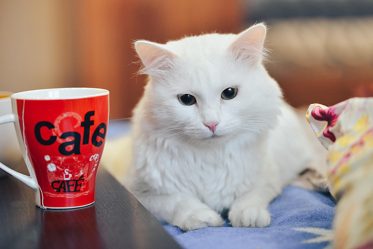 腸活サプリで飲み会が多い人の体臭対策はどうする？