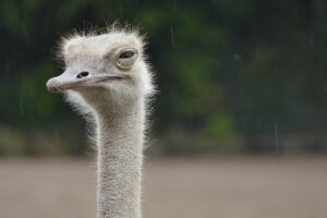 腸活サプリを飲んで胸やけがしたらどうする？